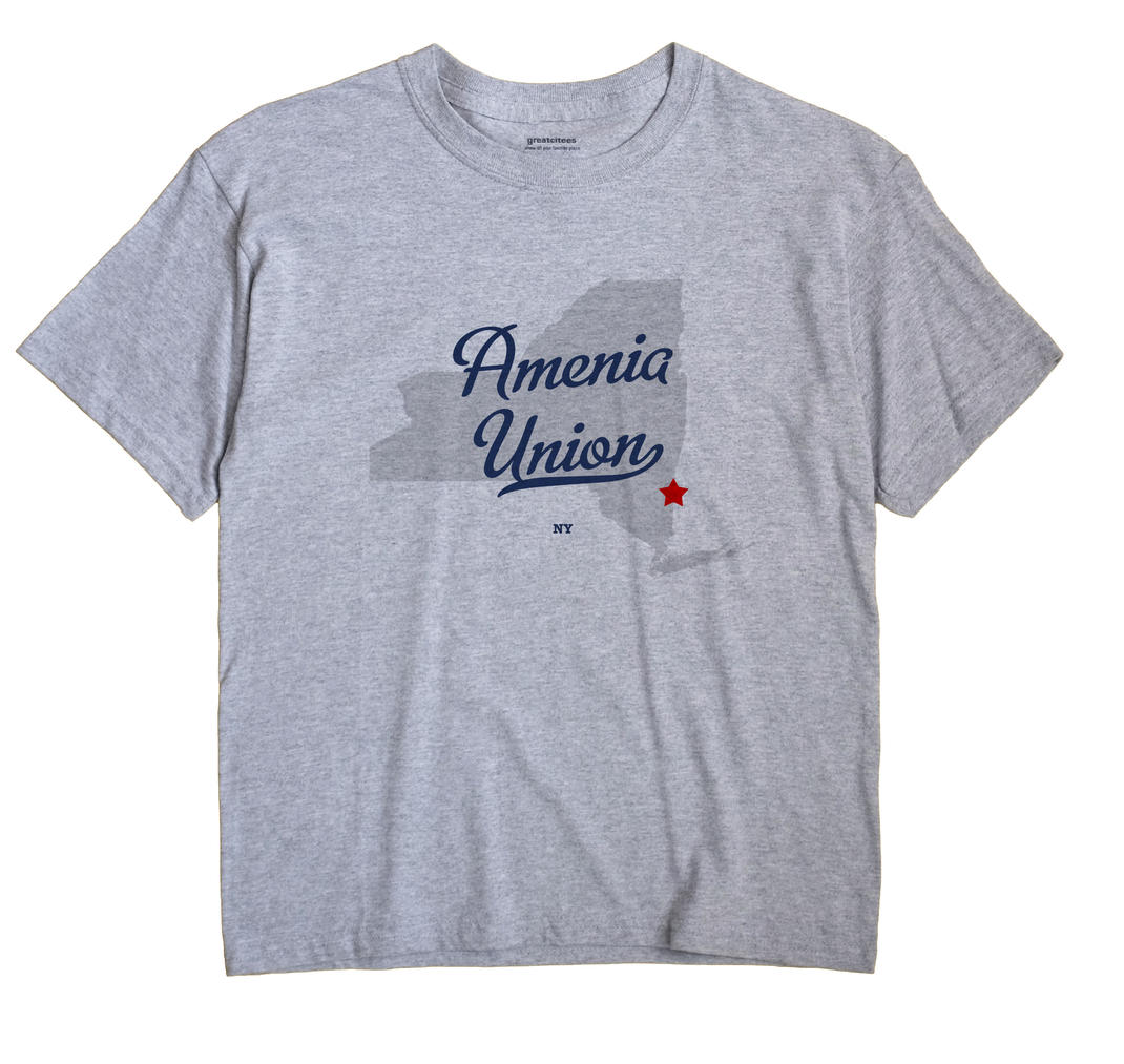 Amenia Union, New York NY Souvenir Shirt